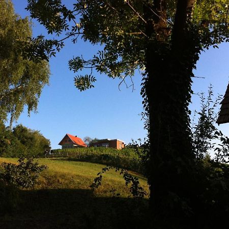 Ferienhaeuser Im Weingarten Fehring Екстер'єр фото
