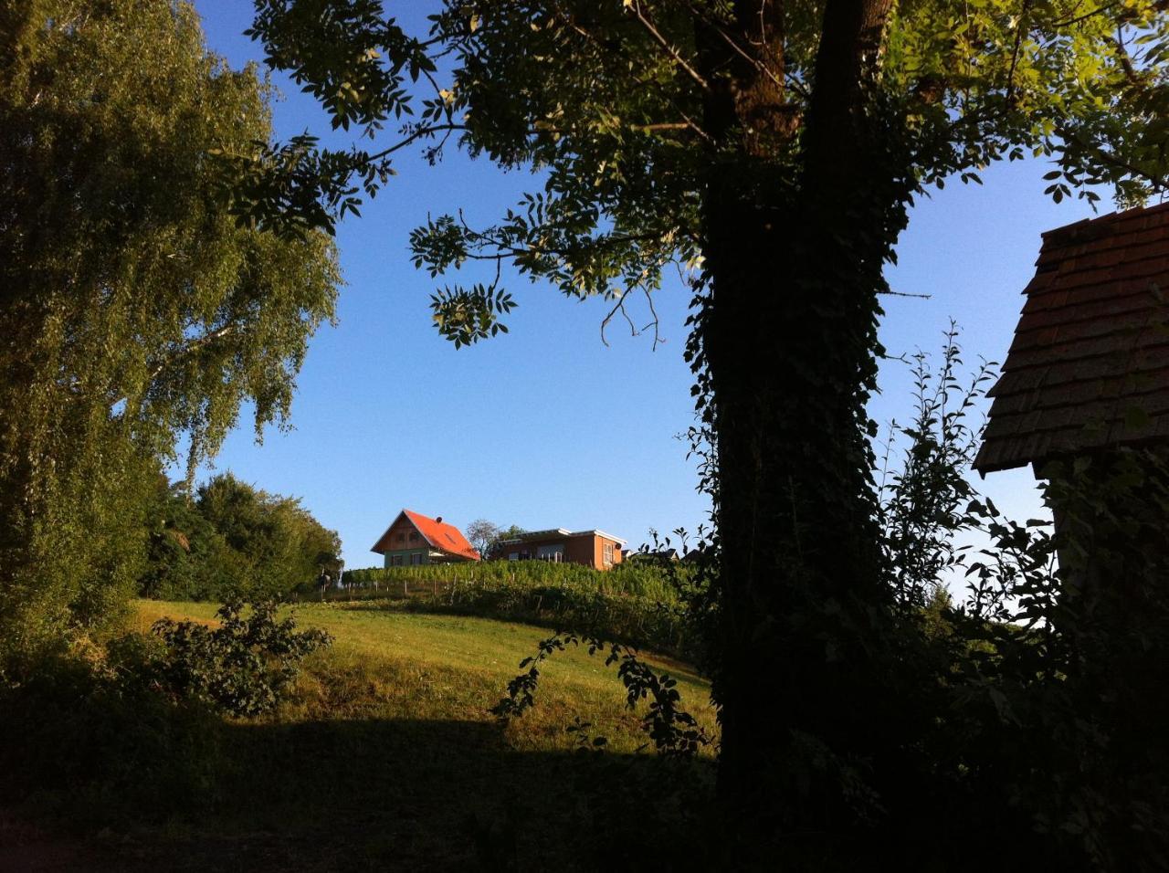 Ferienhaeuser Im Weingarten Fehring Екстер'єр фото