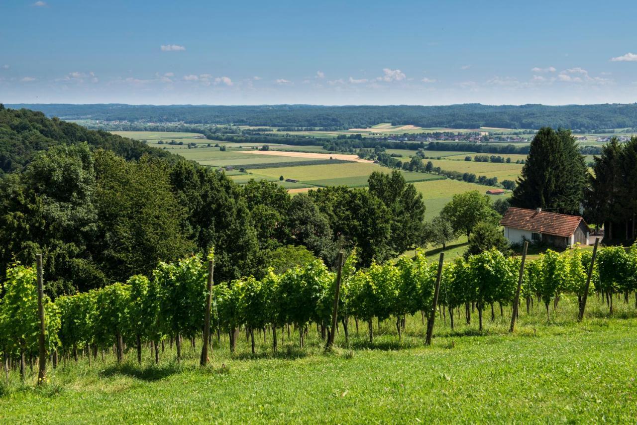 Ferienhaeuser Im Weingarten Fehring Екстер'єр фото
